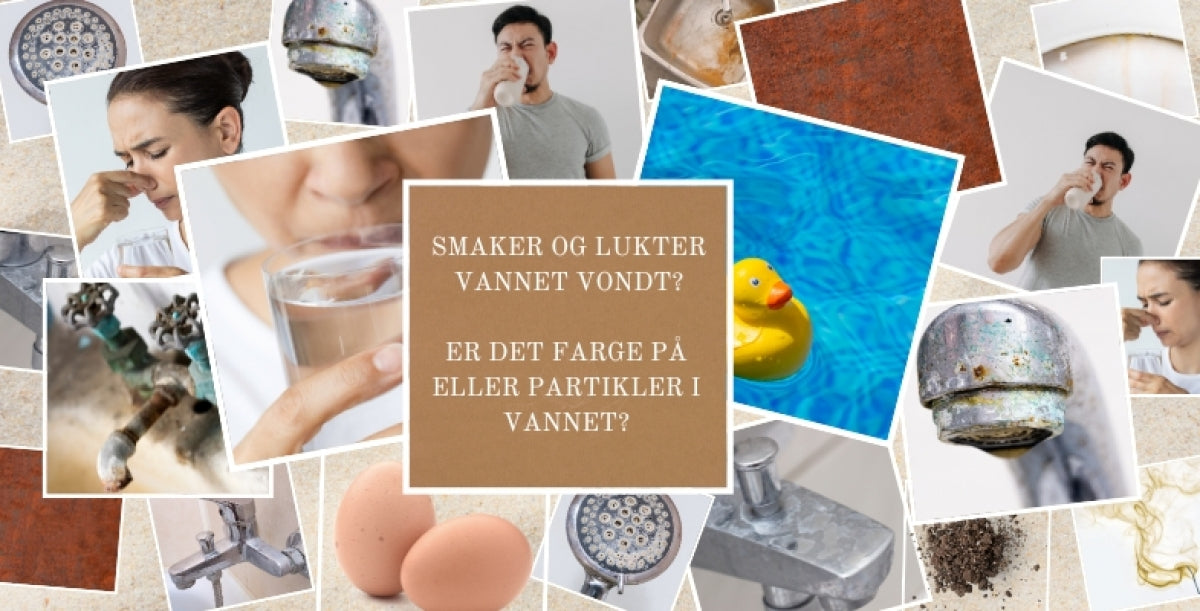 Faktorer som påvirker smak og lukt på vannet