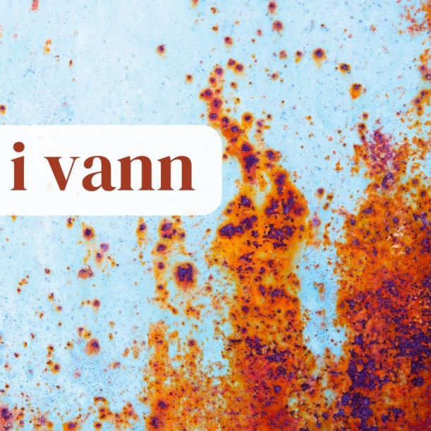 Jern/ Mangan i vann