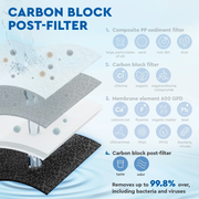 Ecosoft Carbon postfilter Cross 60 RO