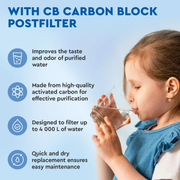 Ecosoft Carbon postfilter Cross 60 RO