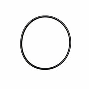 Sort O-ring til Big Blue filterhus